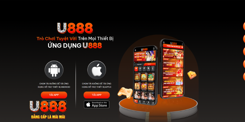 nohu56 cá cược bóng đá như thế nào