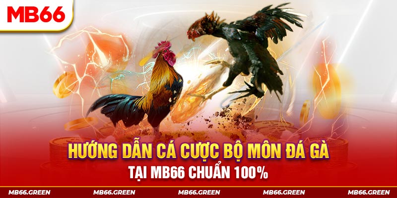 nohu56 slot là gi