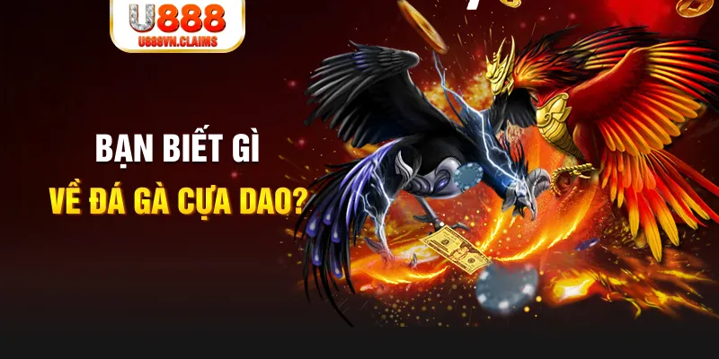 nohu56 SW Xổ Số