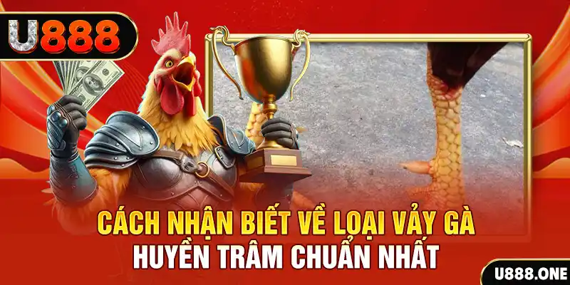 nohu56 đăng nhập nổ hũ số 1