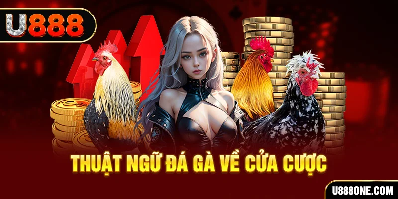 nohu56 hơn cả bạn bè