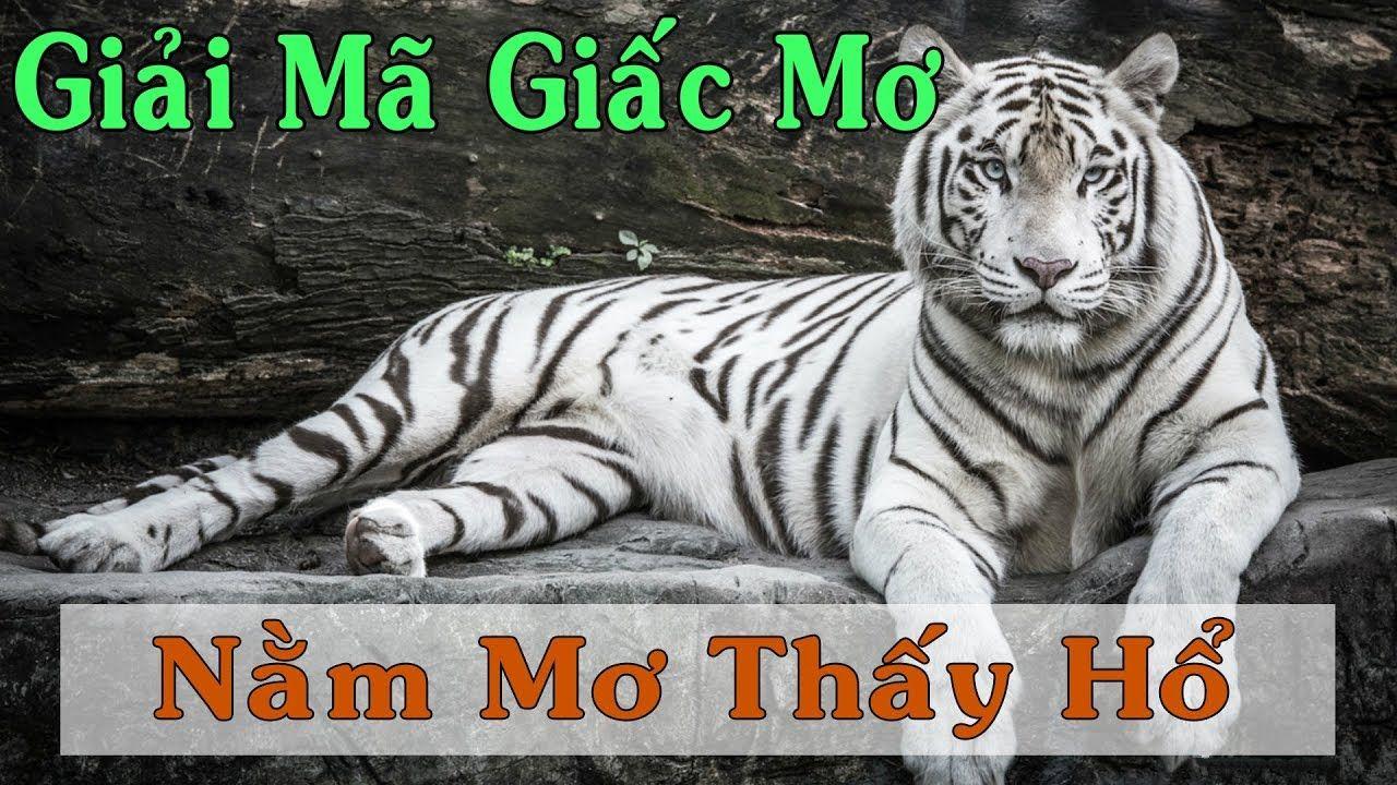 nohu56 nổ hũ là game gì