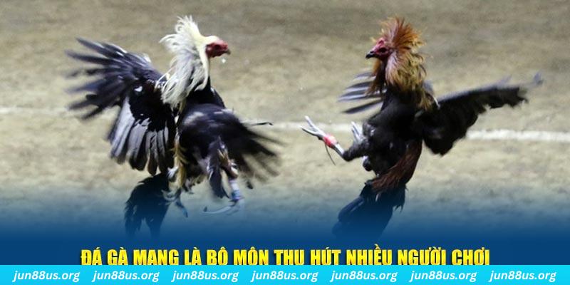 nohu56 nổ hủ nghĩa là gì