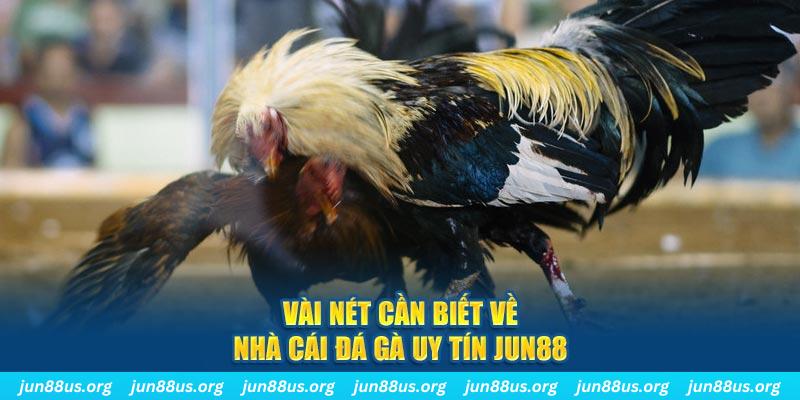 nohu56 đăng nhập phỏm khuyến mãi