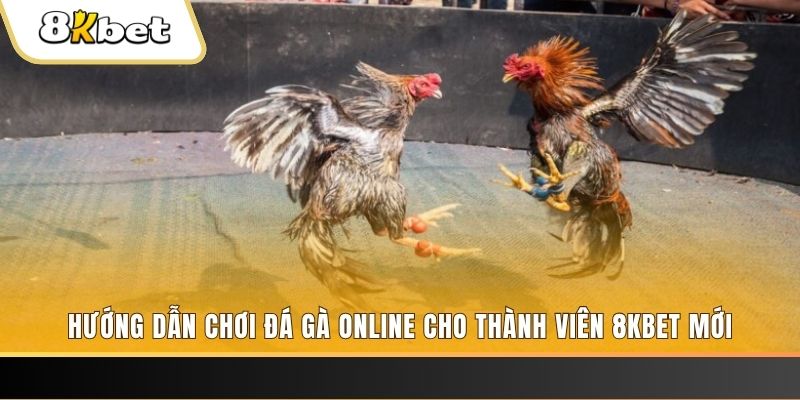 nohu56 JILI Game Bài 3d