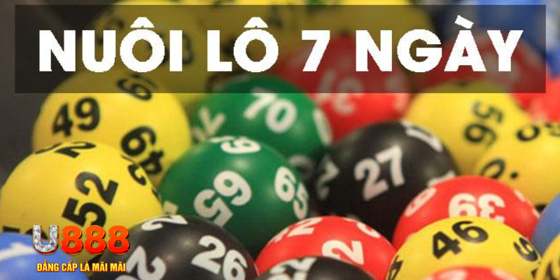 nohu56 đăng nhập mậu binh tặng tiền