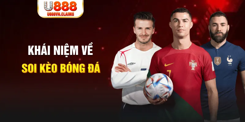 nohu56 xổ số cần thơ