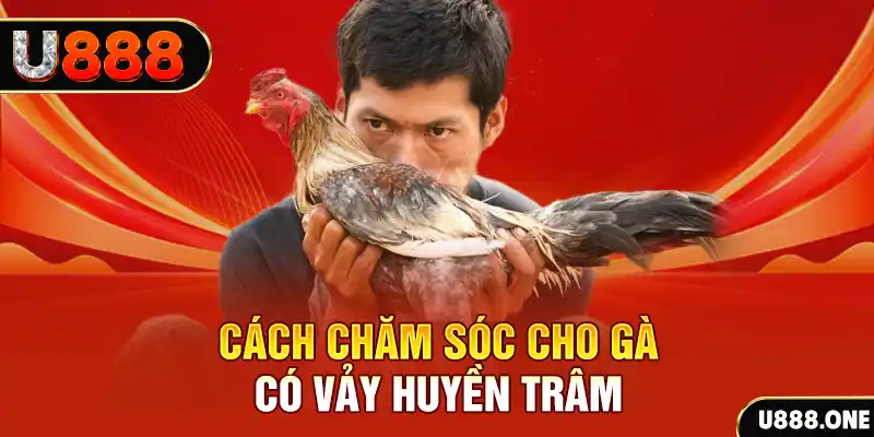 nohu56 bắn cá xèng 3