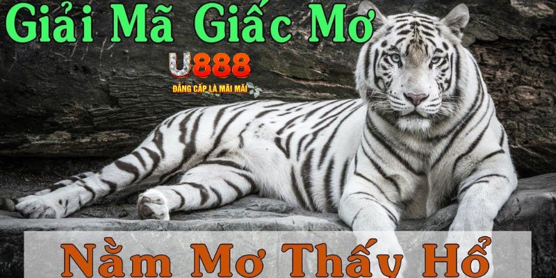 nohu56 xổ số miền bắc xổ số miền bắc