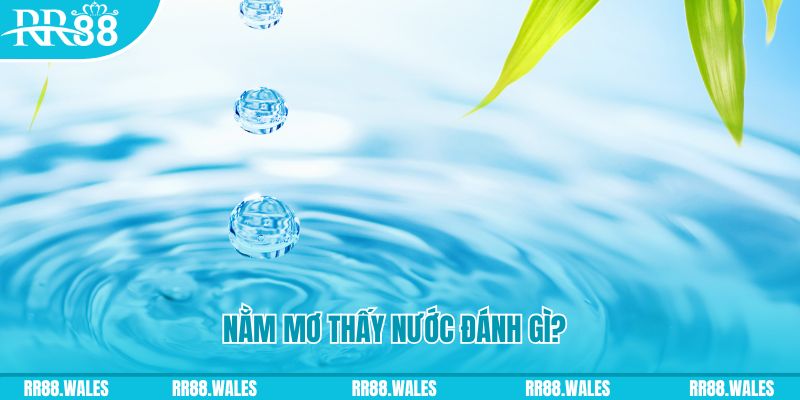 nohu56 TCG Xổ Số