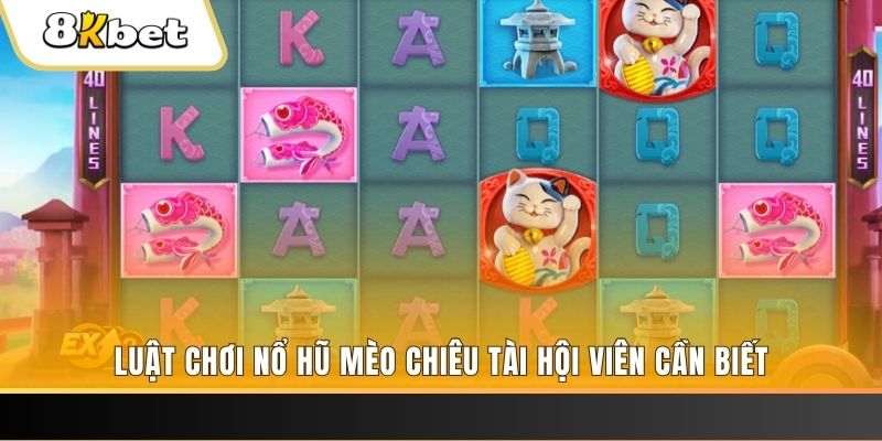 nohu56 máy bay nổ hủ