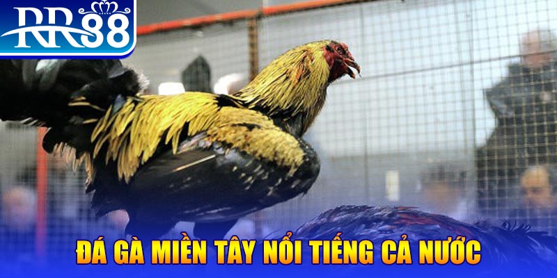 nohu56 xổ số đại phát