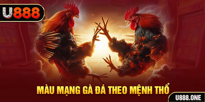 nohu56 đăng nhập sòng bạc hàng đầu