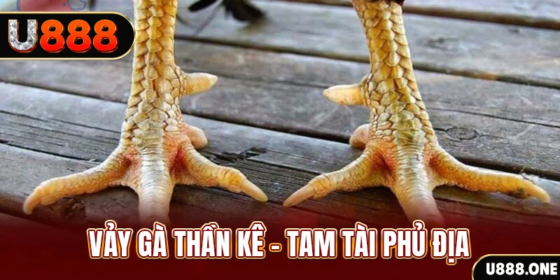 nohu56 xổ số miền trung thứ hai hàng tuần