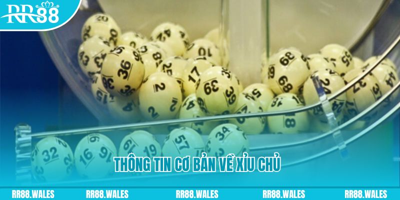 nohu56 how to win at slot machines