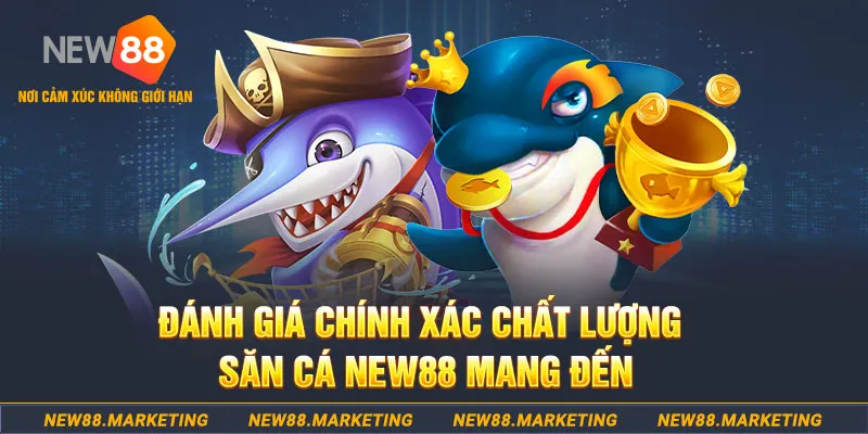 nohu56 đăng nhập mậu binh mới nhất