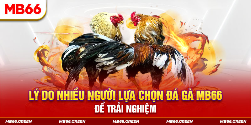nohu56 đăng nhập liêng trực tiếp