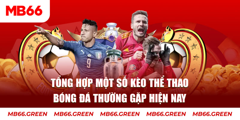 nohu56 người chia bài trong casino gọi là gì