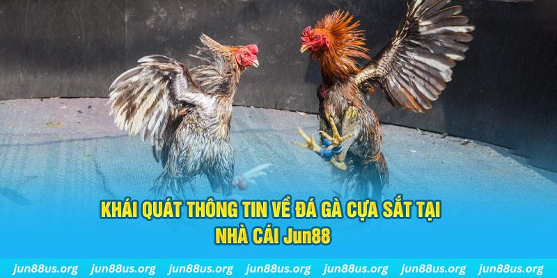 nohu56 xổ số miền bắc thứ bảy hàng tuần