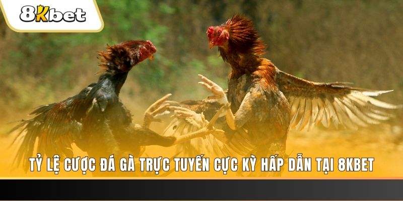nohu56 đăng nhập nổ hũ trực tuyến