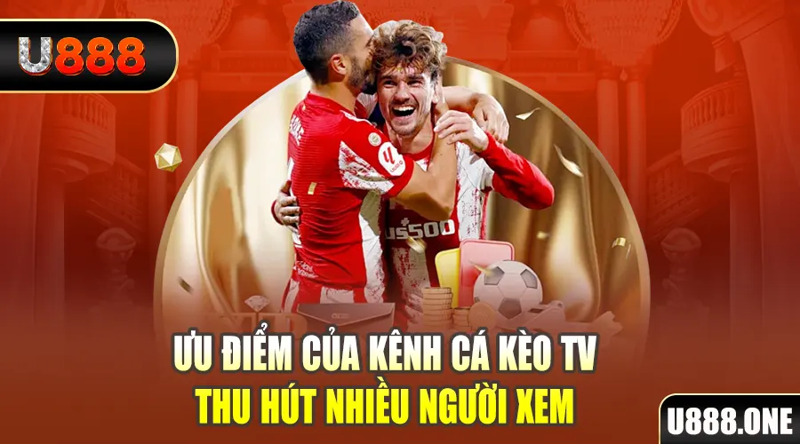 nohu56 gà chọi cu cần