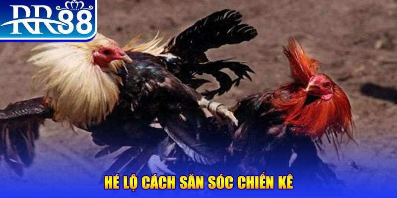 nohu56 xổ số miền trung thứ tư