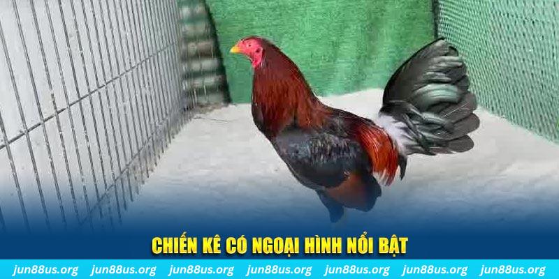 nohu56 game bắn cá
