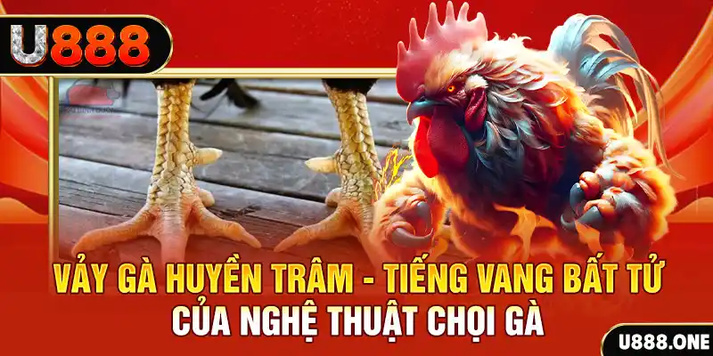 nohu56 đăng nhập roulette trực tuyến