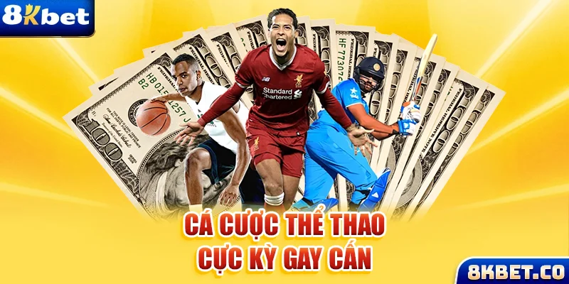 nohu56 xem đá gà trực tiếp